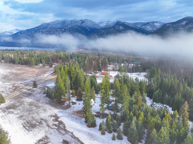 133 Klakken Rd, Noxon, MT 59853 - view of mountain feature with a forest view