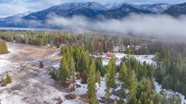 133 Klakken Rd, Noxon, MT 59853 - exterior space with a mountain view and a wooded view