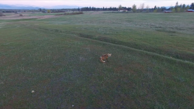 5052 Hoblitt Ln N, Florence, MT 59833 - overview of rural landscape