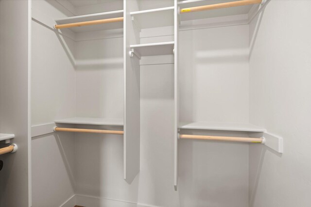 1048 Mill Creek Dr, Bigfork, MT 59911 - view of spacious closet