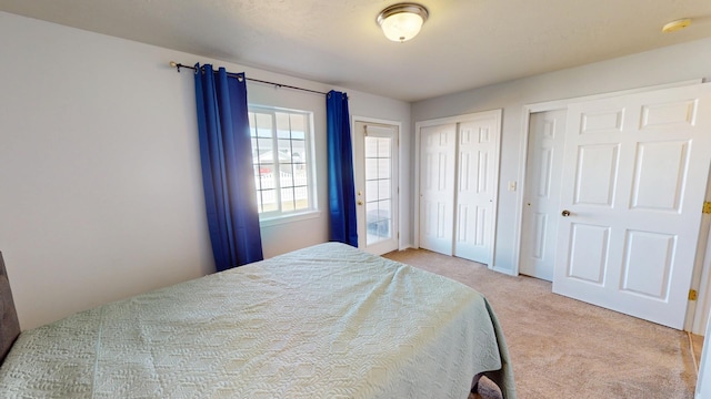 103 Alice Ave Unit B, Hamilton, MT 59840 - bedroom featuring two closets and carpet flooring