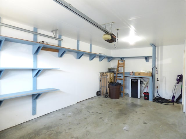 103 Alice Ave Unit B, Hamilton, MT 59840 - garage with a garage door opener and a workshop area