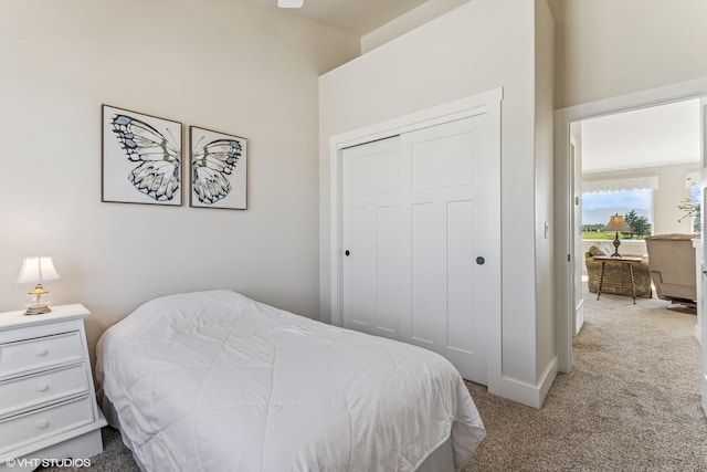113 Mountain Vista Ct, Kalispell, MT 59901 - carpeted bedroom with a closet