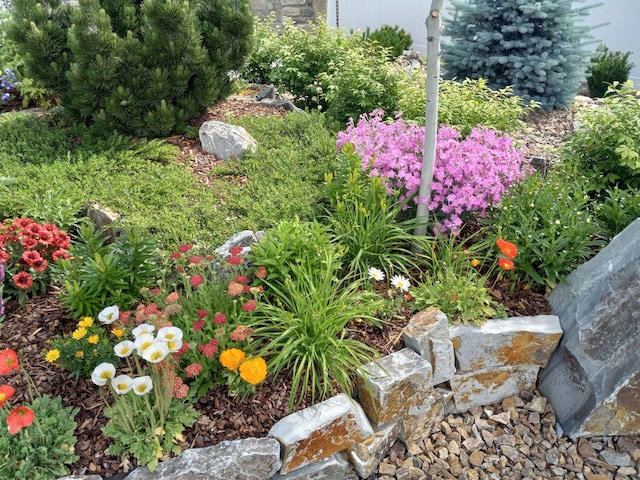 113 Mountain Vista Ct, Kalispell, MT 59901 - view of yard