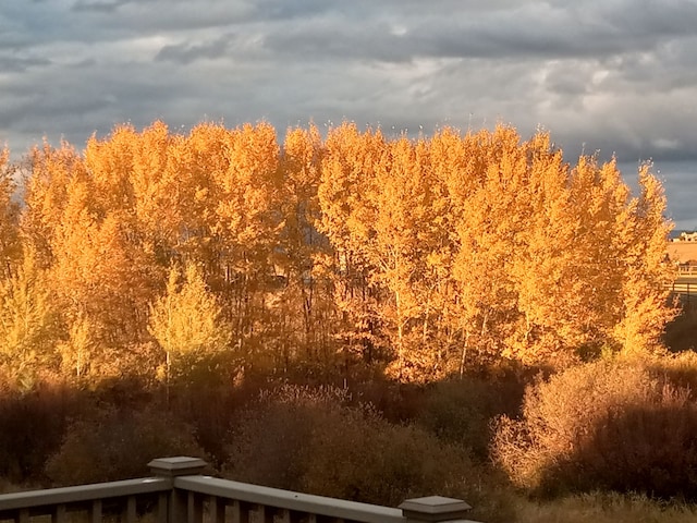 113 Mountain Vista Ct, Kalispell, MT 59901 - view of nature