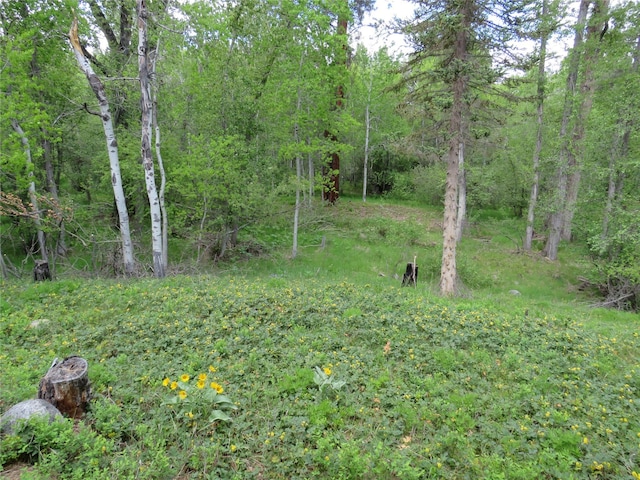 807 Pheasant Run, Hamilton, MT 59840 - view of wooded area