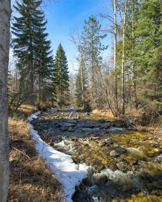 807 Pheasant Run, Hamilton, MT 59840 - view of road