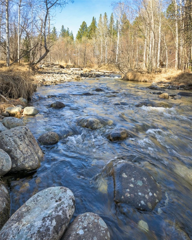 807 Pheasant Run, Hamilton, MT 59840 - water view