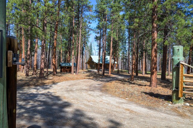 807 Pheasant Run, Hamilton, MT 59840 - view of yard