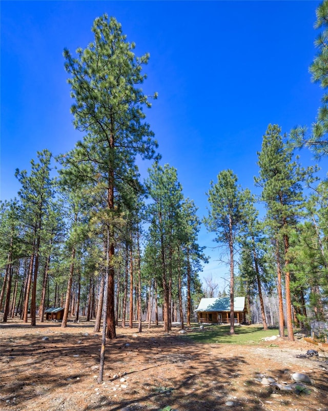 807 Pheasant Run, Hamilton, MT 59840 - view of yard