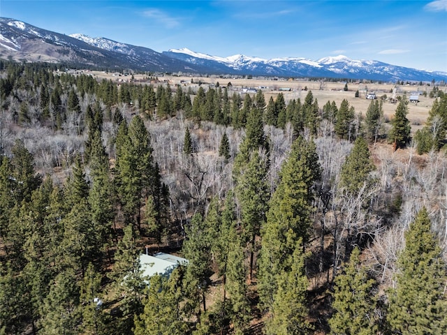 807 Pheasant Run, Hamilton, MT 59840 - view of mountain background featuring a heavily wooded area