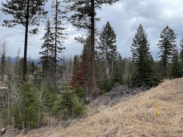 315 Rockridge Rd, Whitefish, MT 59937