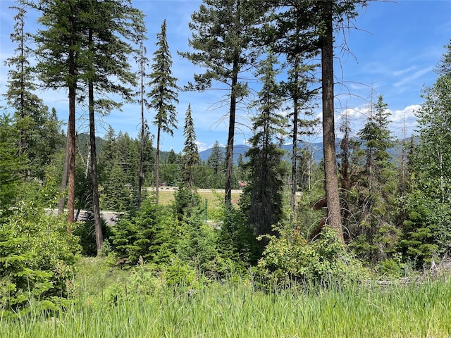 315 Rockridge Rd, Whitefish, MT 59937