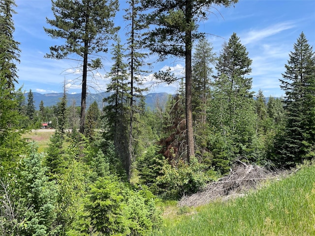 315 Rockridge Rd, Whitefish, MT 59937