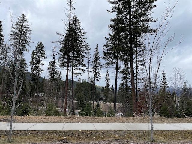 315 Rockridge Rd, Whitefish, MT 59937