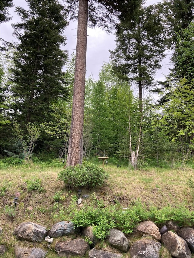 161 Oakmont Loop, Columbia Falls, MT 59912 - view of undeveloped land