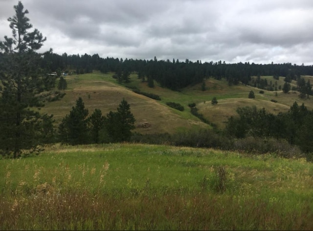 TBD Forest Grove Rd, Lewistown, MT 59457