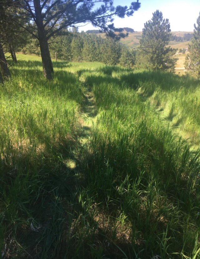 TBD Forest Grove Rd, Lewistown, MT 59457