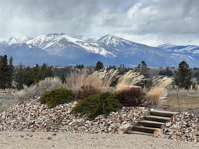 1130 Hegson Dr, Stevensville, MT 59870 - mountain view