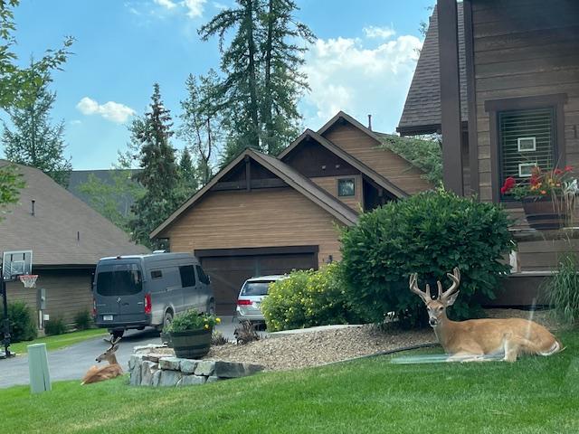 1 Rock Creek Ct, Whitefish, MT 59937 - rear view of property with a garage, a lawn, and driveway