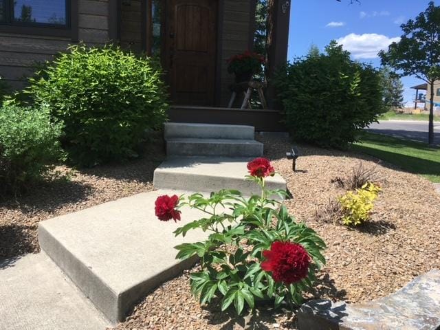 1 Rock Creek Ct, Whitefish, MT 59937 - view of yard