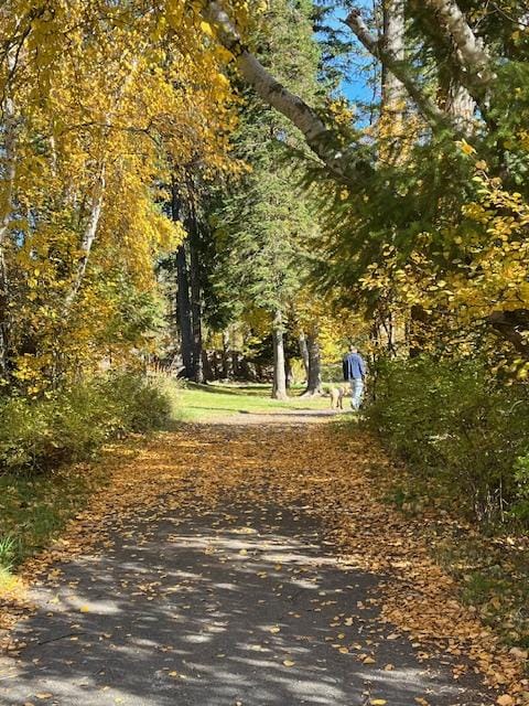 1 Rock Creek Ct, Whitefish, MT 59937 - view of property's community