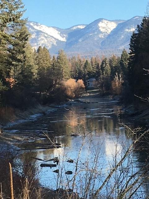 1 Rock Creek Ct, Whitefish, MT 59937 - water view with a mountainous background and a heavily wooded area