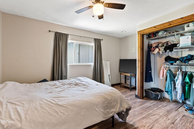 253 Aero Ln, Bigfork, MT 59911 - bedroom with wood finished floors and ceiling fan