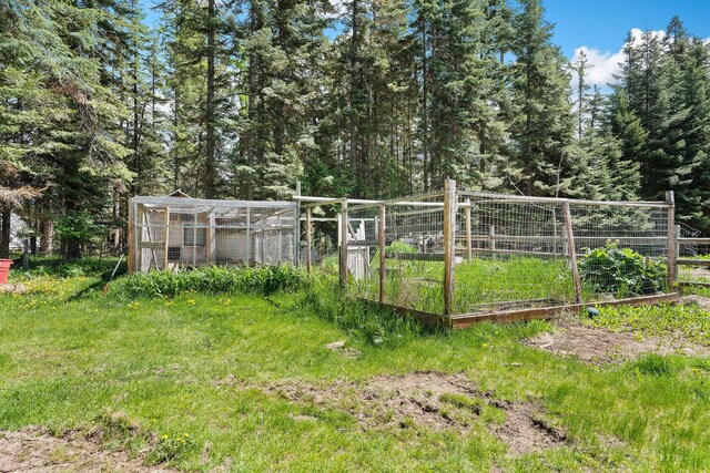 253 Aero Ln, Bigfork, MT 59911 - view of yard featuring a vegetable garden
