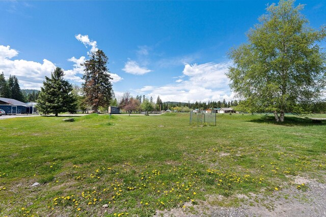 253 Aero Ln, Bigfork, MT 59911 - view of yard