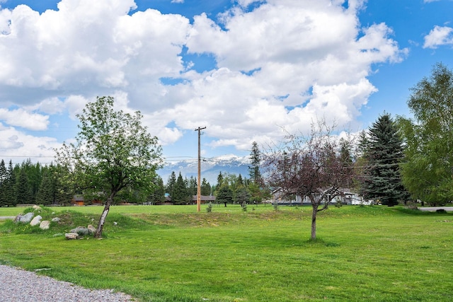 253 Aero Ln, Bigfork, MT 59911 - view of home's community featuring a lawn