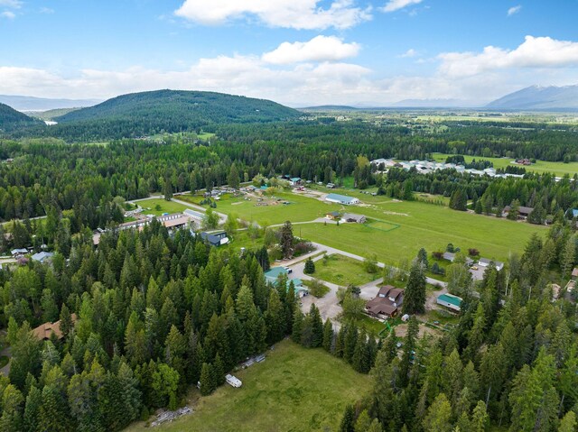253 Aero Ln, Bigfork, MT 59911 - view of property location with a forest and a mountainous background