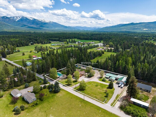 253 Aero Ln, Bigfork, MT 59911 - aerial overview of property's location with a mountainous background and property boundaries highlighted