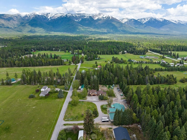 253 Aero Ln, Bigfork, MT 59911 - aerial view of sparsely populated area with a mountainous background and a forest