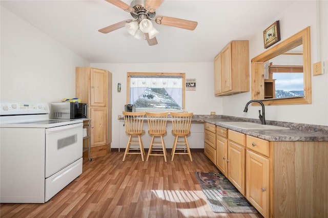 433 Swamp Creek Rd, Wise River, MT 59762 - kitchen with light wood finished floors, a ceiling fan, light brown cabinets, a sink, and electric range