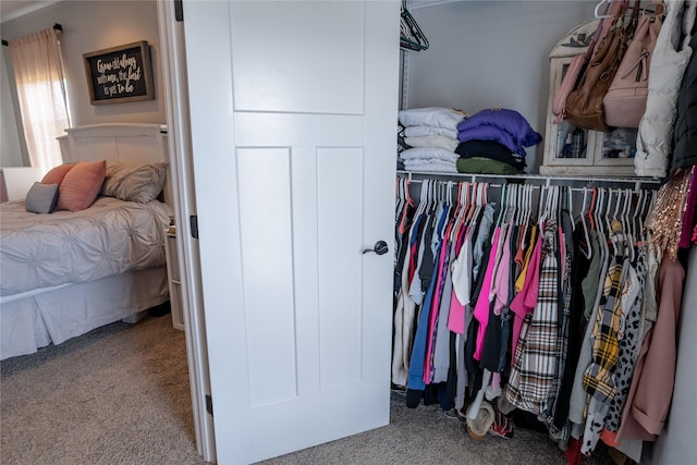 9 Ridge View Cir, Montana City, MT 59634 - view of closet