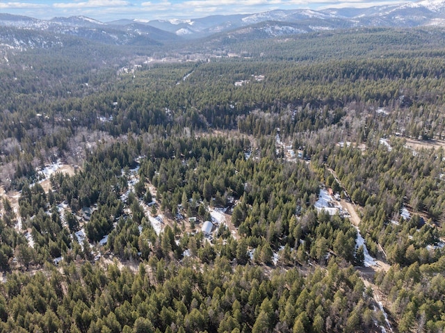 288 Mountain Meadow Rd, Kalispell, MT 59901 - aerial view of property's location with a heavily wooded area and a mountain backdrop