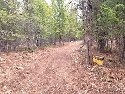 288 Mountain Meadow Rd, Kalispell, MT 59901 - view of road featuring a forest view