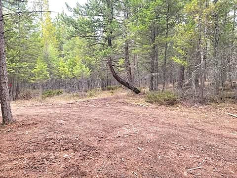 288 Mountain Meadow Rd, Kalispell, MT 59901 - view of tree filled area