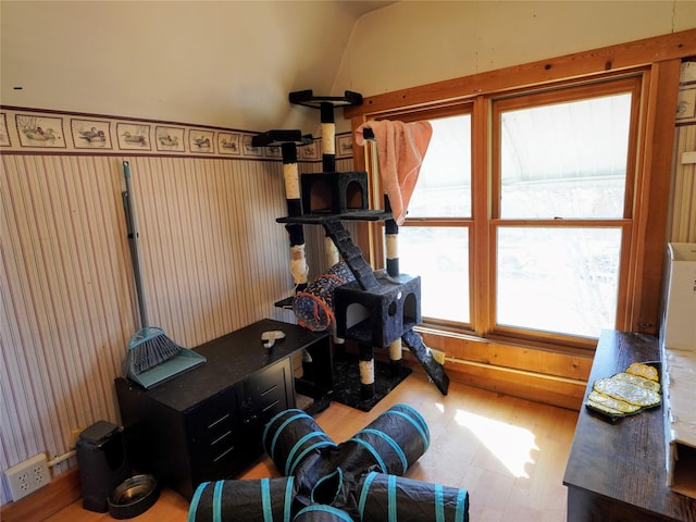 exercise room featuring lofted ceiling and wood finished floors