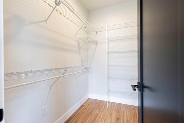 2212 S 12th St W, Missoula, MT 59801 - walk in closet with light wood-style floors