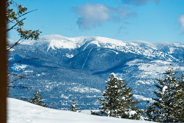 85 Meadows Dr, Whitefish, MT 59937 - view of mountain backdrop