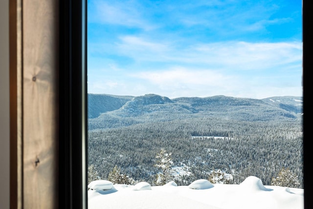 85 Meadows Dr, Whitefish, MT 59937 - view of mountain backdrop