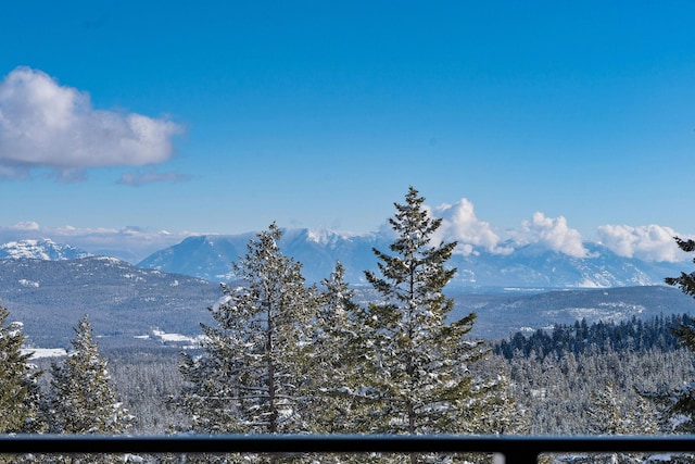 85 Meadows Dr, Whitefish, MT 59937 - view of mountain background
