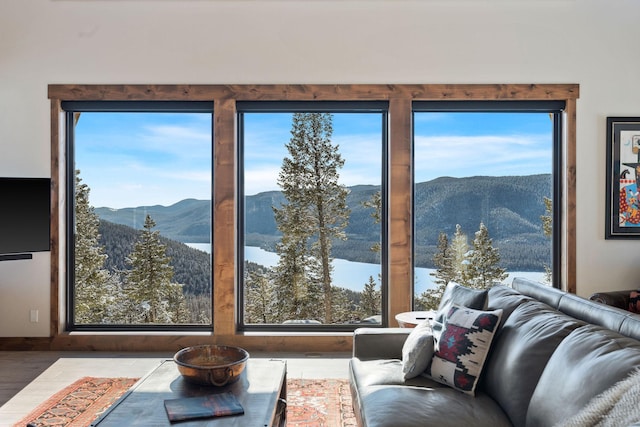 85 Meadows Dr, Whitefish, MT 59937 - living room with a mountain view, plenty of natural light, and wood finished floors