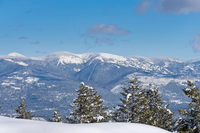 85 Meadows Dr, Whitefish, MT 59937 - view of mountain backdrop