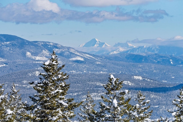 85 Meadows Dr, Whitefish, MT 59937 - mountain view