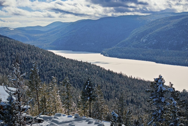 85 Meadows Dr, Whitefish, MT 59937 - mountain view with a heavily wooded area
