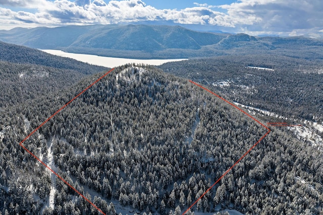 85 Meadows Dr, Whitefish, MT 59937 - view of mountain background featuring a forest
