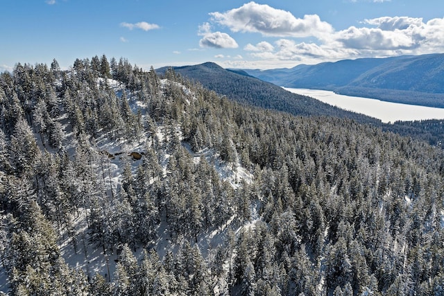 85 Meadows Dr, Whitefish, MT 59937 - view of mountain background featuring a heavily wooded area
